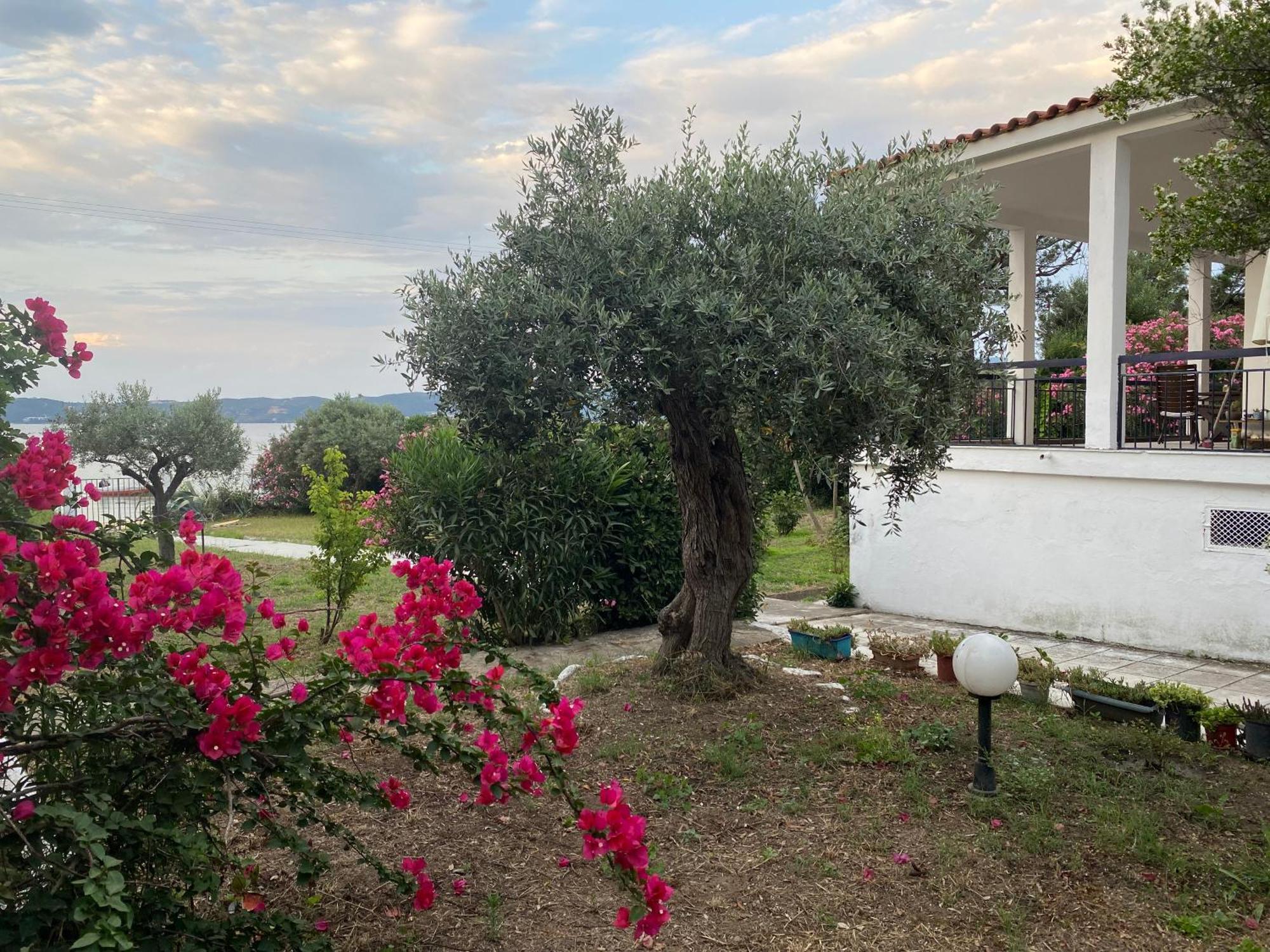 Casa Santa Agua Villa Ammouliani Exterior photo